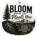 Bloom Where God Plants You