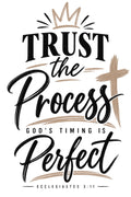 Trust the Process — God's Timing Is Perfect, Ecclesiastes 3:11 shirt design